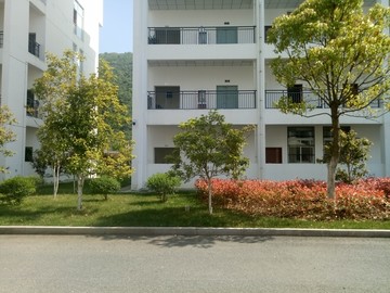 校园绿化