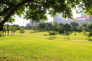 广西钦州梦园广场园林景观