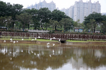 洛阳兴洛湖