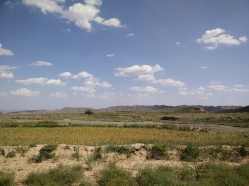 蓝天田地
