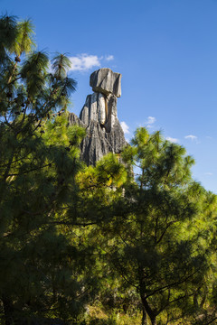 石林风景区