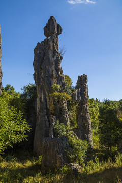 石林风景区