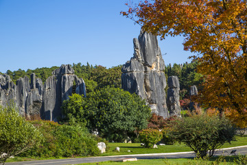 石林风景区