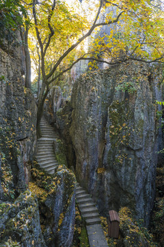 石林风景区