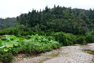 山涧溪流