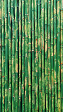 竹排素材