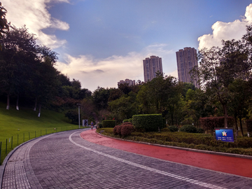 公园道路风景