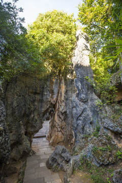 石林风景区