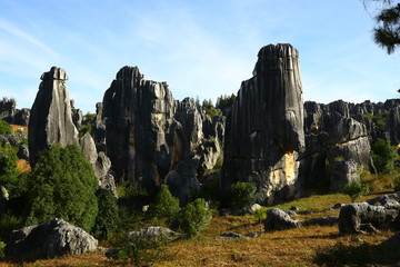 石林风景区