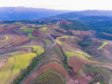 东川红土地