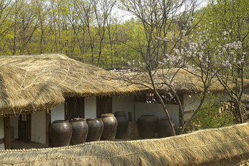 韩国农家庭院泥墙草屋