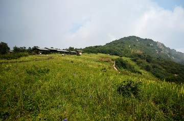 五花草甸