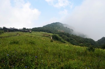 白草畔
