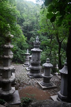 塔林