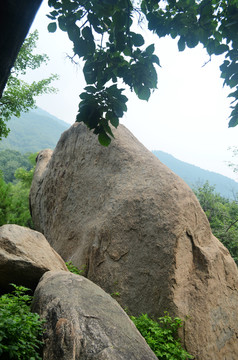 骆驼山