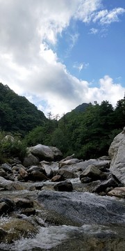 沣峪口美景