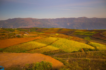 东川红土地