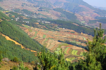 东川红土地