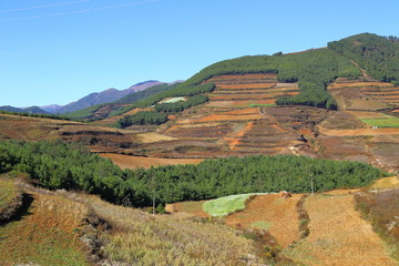 东川红土地