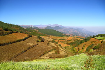 东川红土地