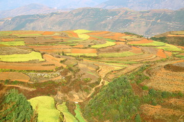 东川红土地