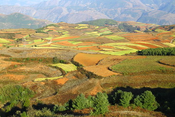 东川红土地