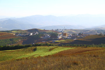 东川红土地