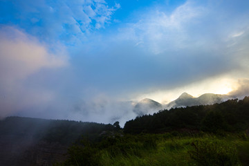 板山云雾