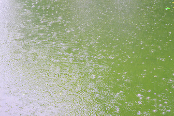 下雨的水面