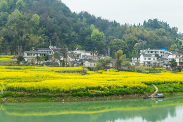 绿水青山