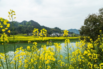 绿水青山