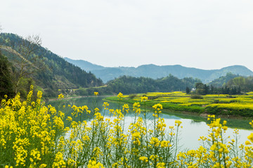 青山绿水