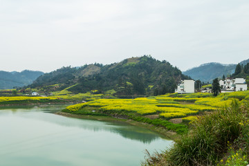 青山绿水