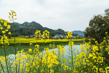 新安江十里画廊