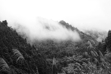 水墨山水