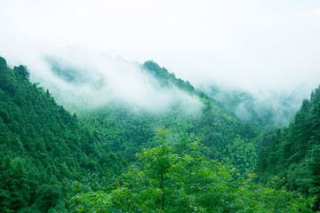 雨后青山