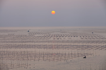 大海日出