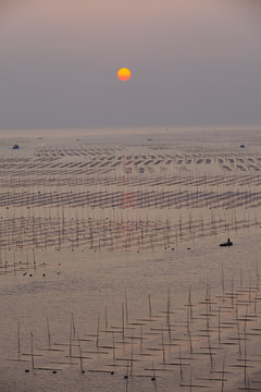 大海日出