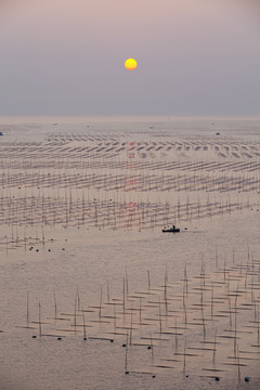 大海日出