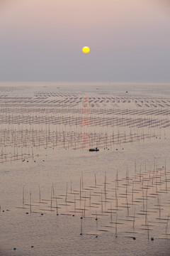 大海日出