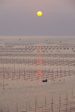 大海日出