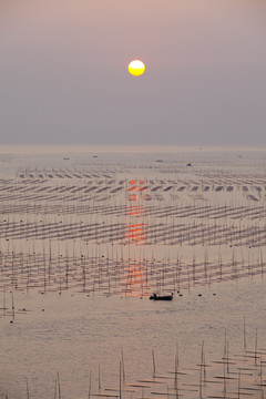 大海日出