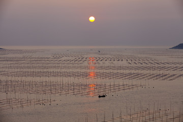 大海日出