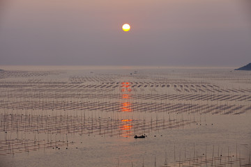 大海日出