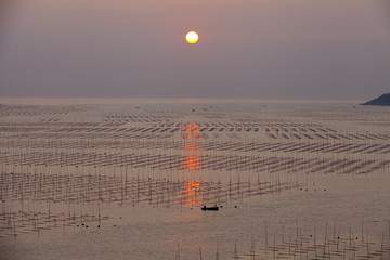 大海日出