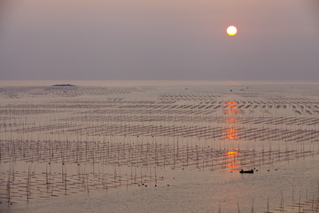 大海日出