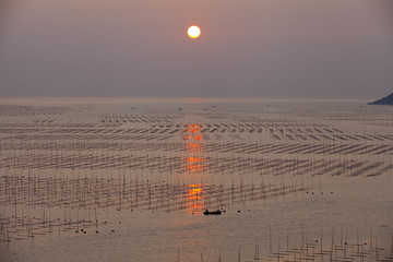 大海日出