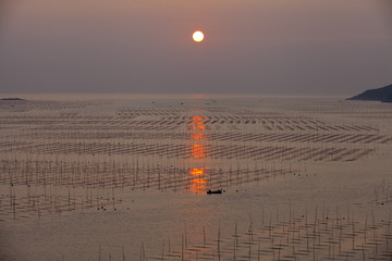 大海日出