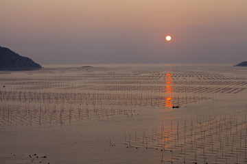 大海日出