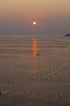 大海日出